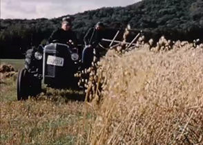 Figure 5 : Agriculteurs au travail. (Stop, Herménégilde Lavoie, 1957).
